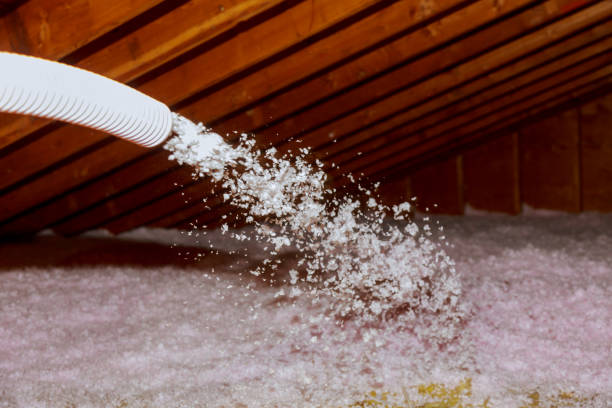 Best Commercial Insulation in Vla Grove, IL
