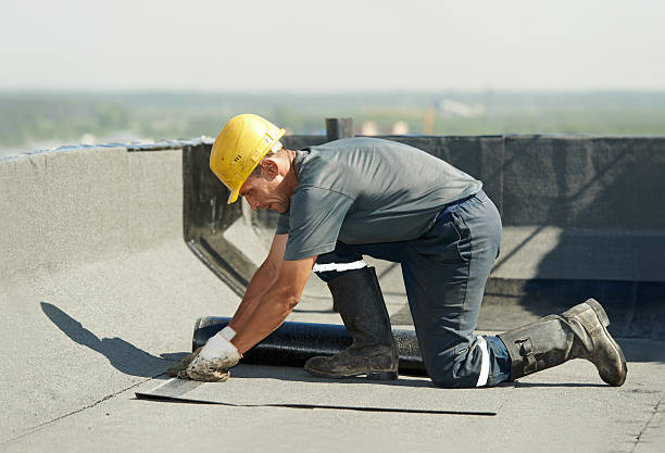 Best Energy Efficiency Solutions in Vla Grove, IL