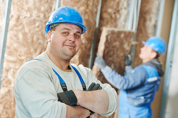 Best Insulation Maintenance and Repair in Vla Grove, IL