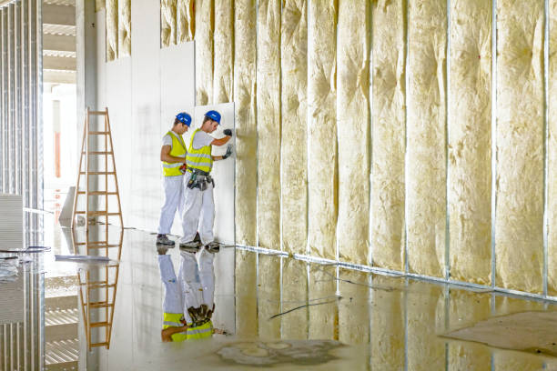 Best Residential Insulation in Vla Grove, IL